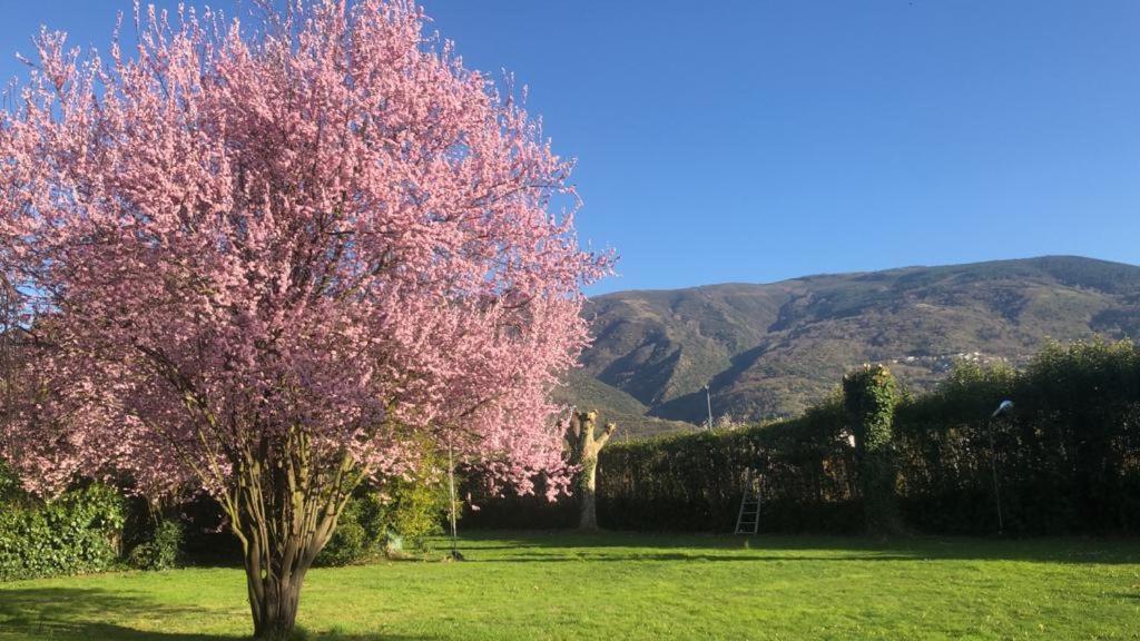 Hotel Espada Sl La Rua Dış mekan fotoğraf